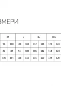 Мъжки плажни шорти Geronimo 2454